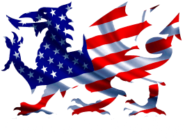 American Car Weddings Footer Logo